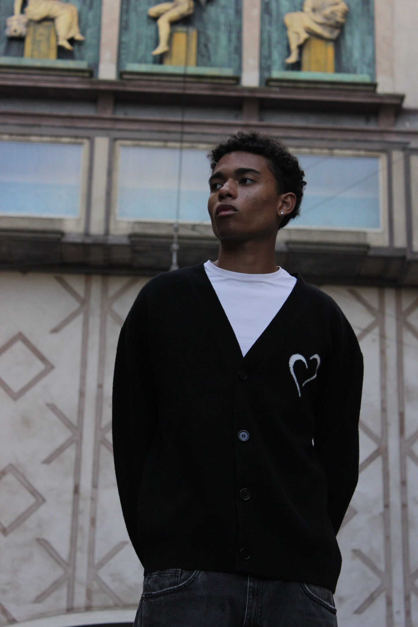 Merinould Cardigan Sort