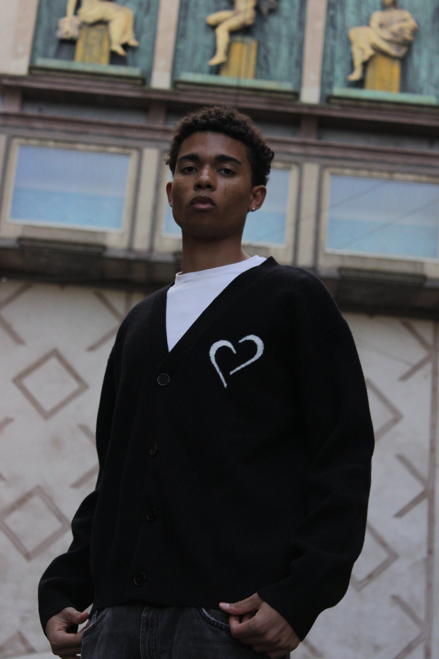 Merinould Cardigan Sort